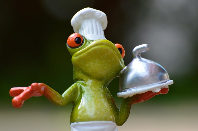 Gourmet Experience